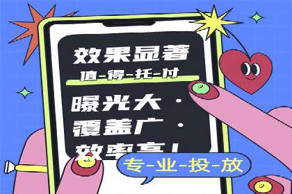 SEM推广优化策略：成功案例解析